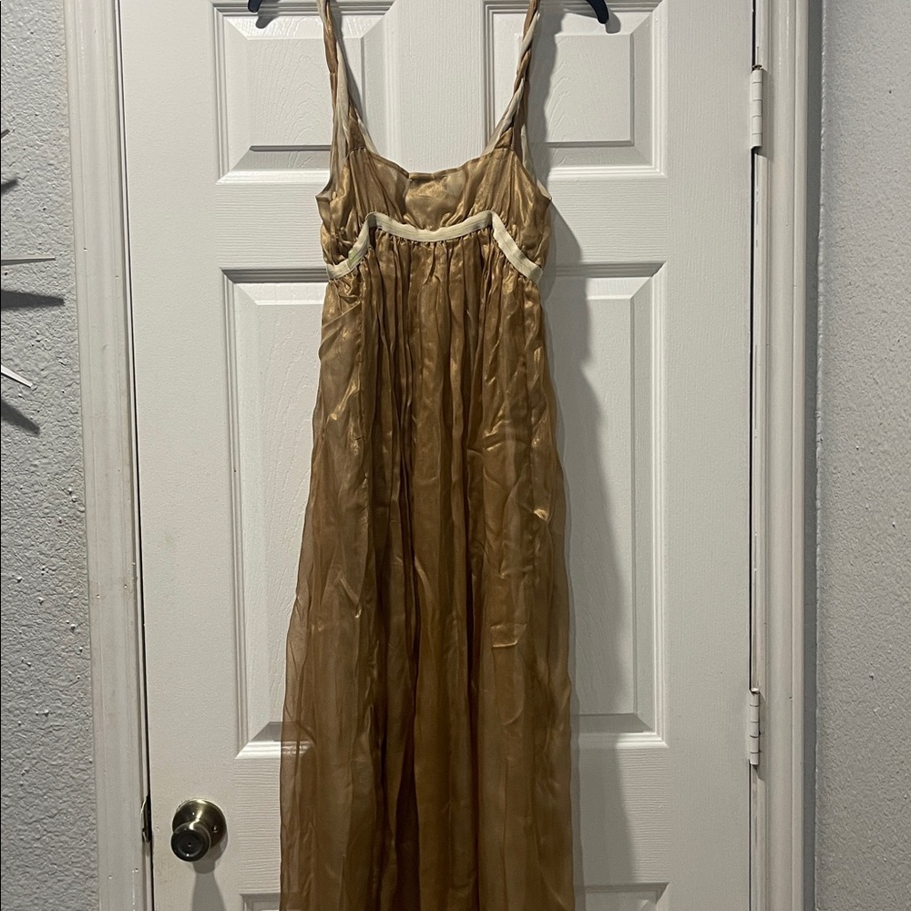 Elegant L’Oro Di Seta Sheer Dress - Picture 5 of 9